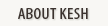 About Kesh Malik